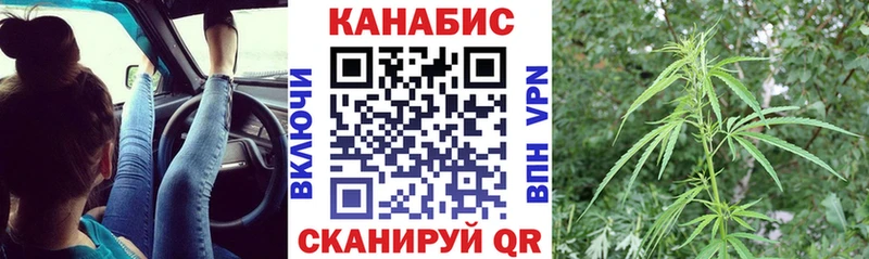 купить   Алдан  Конопля план 